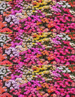Цветочная поляна водорастворимая бумага с картинкой подборка №148