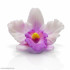 Орхидея Каттлея, форма силиконовая 3D для мыла