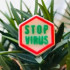 Stop Virus Пластиковая форма
