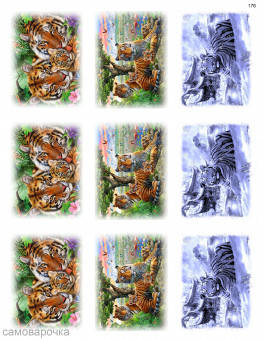 Тигры открытки водорастворимая бумага с картинкой подборка №176