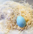 Яйцо пасхальное пластиковая форма