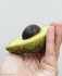 Авокадо с косточкой Силиконовая форма 3D
