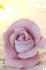 Роза Свитнесс форма силиконовая 3D для мыла